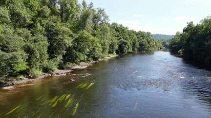 Environnement : la Dordogne, un cours d'eau qui renaît grâce à des projets de renaturation