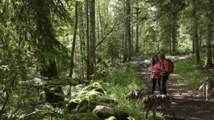 Tourisme : le Jura, entre randonnée canine et escalade le long d’un fort