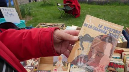 Bécherel, la cité française du livre où l'on déniche des trésors