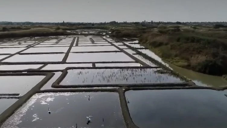 Loire-Atlantique : Guérande, la cite des maîtres du sel