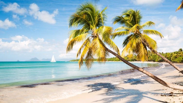 Le journal des Outre-mers. Le rythme des vols s’est accéléré entre les Antilles et l’Hexagone