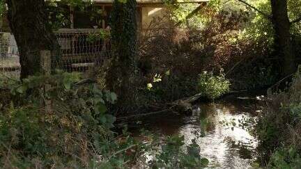 Fermes : quand la nature reprend ses droits