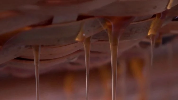 Apiculture durable : le miel de karité, un trésor venu du Bénin