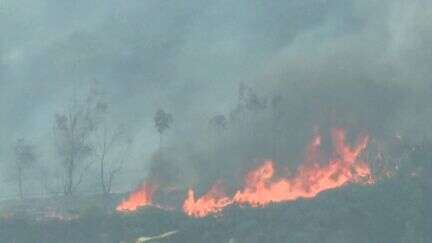 Incendies en Grèce : quelles sont les raisons d’une telle vulnérabilité au feu ?