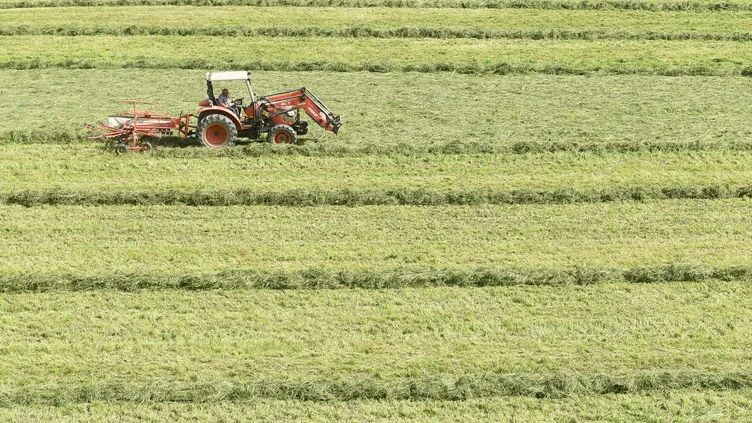 Agriculture : un plan d'aide après le gel au printemps dernier