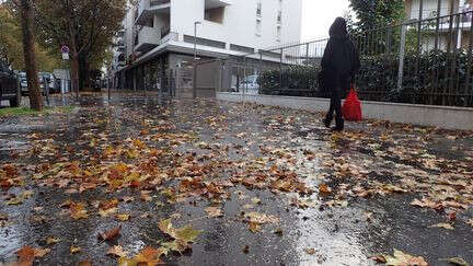 Environnement : qui doit ramasser les feuilles mortes sur les trottoirs ?