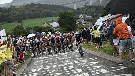 Tour de France 2024 : allonger le tracé, homogénéiser le peloton... Quelles prochaines étapes pour le développement du cyclisme féminin ?