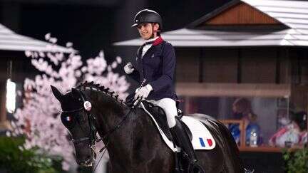 Jeux paralympiques : adaptation au handicap du cavalier, nouvelles formes de sollicitation du cheval... Comment se crée un couple en paradressage ?