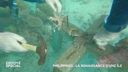 Après avoir acheté et restauré une île des Philippines, il s'engage dans 