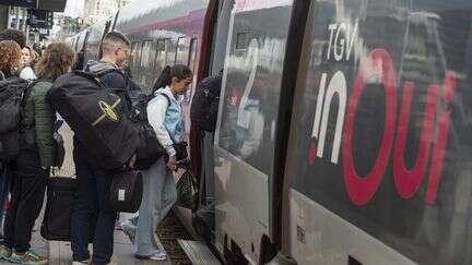 SNCF : les contrebasses vont être définitivement autorisées dans les TGV