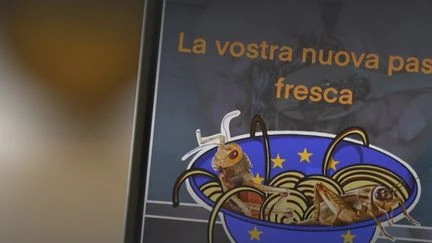 Élections européennes 2024 : l'Europe menace-t-elle la gastronomie italienne, comme le prétend le gouvernement Meloni ?