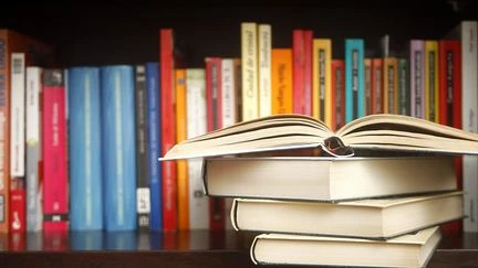 Rentrée littéraire 2024 : il y aura, cet automne, moins de nouveaux romans dans les librairies que l'année dernière