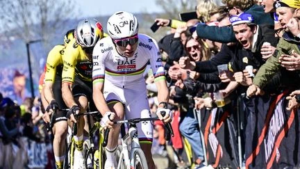 Tour des Flandres 2025 : le résumé de la victoire monumentale de Tadej Pogacar, trop fort pour Mathieu van der Poel