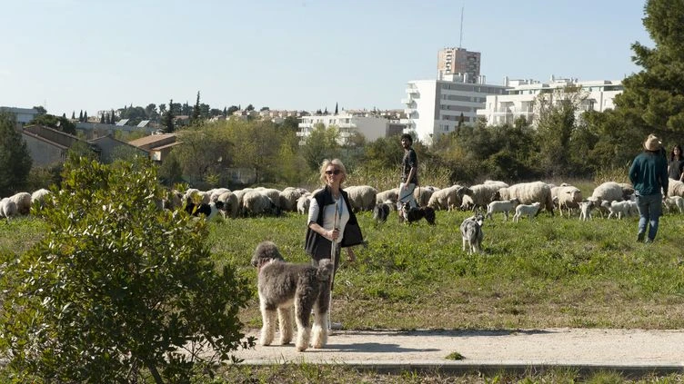 Jardin. Profession : Bergère urbaine, mission : l'écopâturage en ville