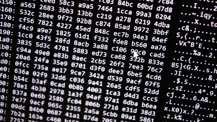 Stupéfiants, faux documents, armes, la plateforme 