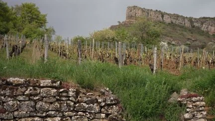 En Bourgogne, la préservation des constructions en pierres sèches, un art ancestral