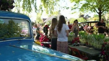 Seine-et-Marne : à Expomobile, des voitures de collection exposées au milieu d'une jardinerie