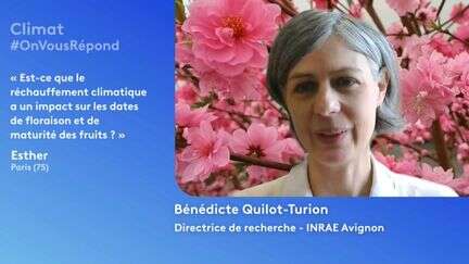 Le réchauffement climatique a-t-il un impact sur les dates de floraison et de maturité des fruits ? OnVousRépond Climat