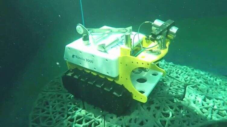 Bathybot : un robot spécial pour explorer les fonds marins