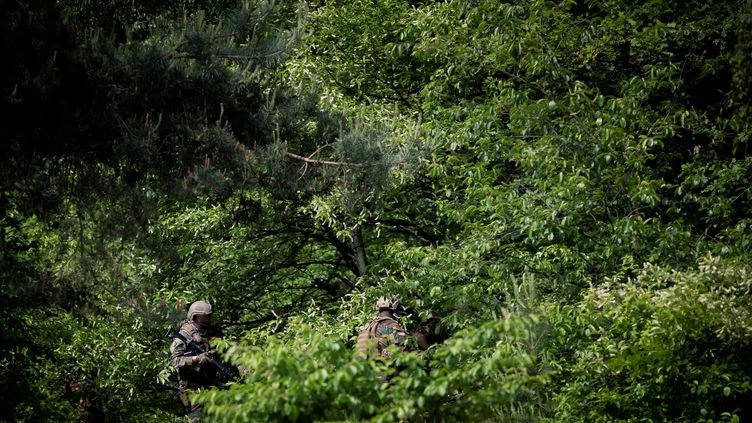 Belgique : un corps retrouvé dans une forêt, les enquêteurs n'excluent pas qu'il s'agisse du militaire d'extrême droite en fuite