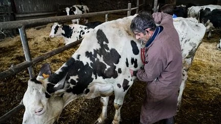 Salon de l'agriculture : on a suivi Stéphane Dilé, vétérinaire de campagne 