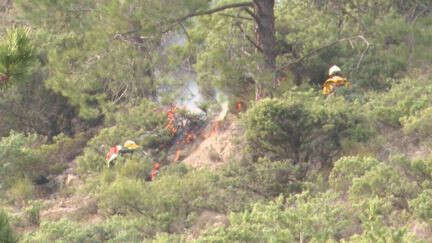 Incendies dans la vallée de la Roya : la piste criminelle privilégiée