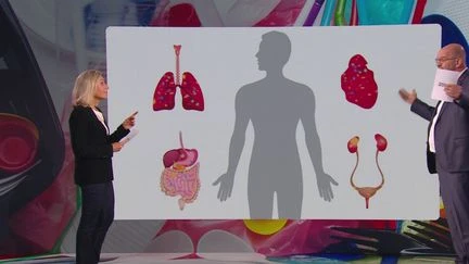 Microplastiques : ils se retrouvent en quantité dans le corps humain