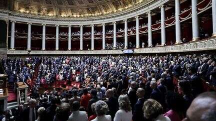 Elections législatives 2024 : âge, genre, CSP... Visualisez le nouveau visage de l'Assemblée nationale en quatre graphiques