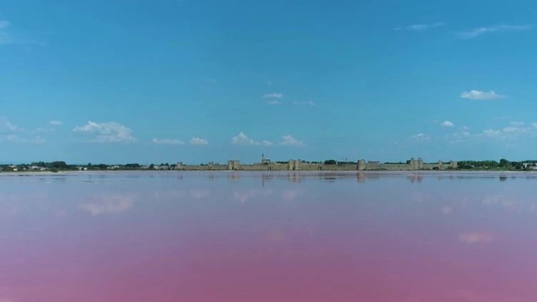 Salins du Midi : un marais où l'on voit la vie en rose