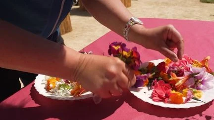 Cuisine : le succès des fleurs comestibles
