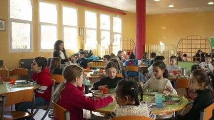 Circuits courts : certaines cantines scolaires adeptes du modèle