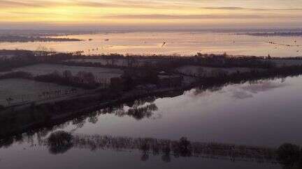 Manche : les marais blancs du Parc naturel du Cotentin reprennent vie