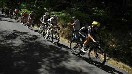 Tour de France femmes : la Française Maeva Squiban encore à l'attaque et parmi les 14 échappées... Suivez la 8e étape