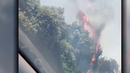 SNCF : un incendie près des lignes TGV Sud-Est perturbe le trafic entre Paris et la Méditerranée, des milliers de passagers concernés