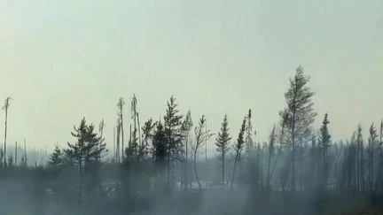 Incendies au Canada : plus de 31 000 habitants évacués