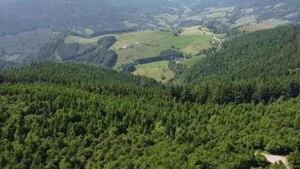 Haut-Rhin : à la découverte du Val d’Argent