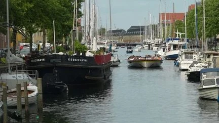 Copenhague : la ville récompense financièrement les touristes respectueux de l'environnement