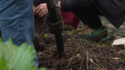 Cafés, jardinage et lecture : l'autre vie des cimetières à Berlin