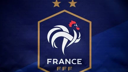 Équipe de France : Jérôme Alonzo évoque une 