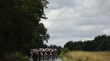 Tour de France femmes : du plat avant trois ascensions et une descente technique et rapide... Suivez la 7e étape entre Bourg-en-Bresse et Chambéry