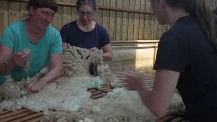 En Auvergne, des éleveurs de moutons valorisent la laine locale en fabriquant des marmites norvégiennes