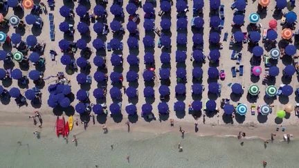 Quotas, entrée payante... En Sardaigne, la plage prisée de La Pelosa soumise à une nouvelle réglementation