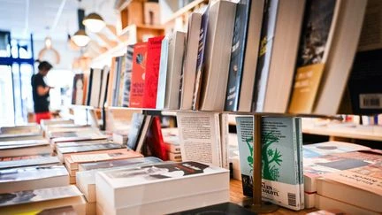 Rentrée littéraire 2025 : une nouveauté en chasse une autre, quand la chaîne du livre doit suivre
