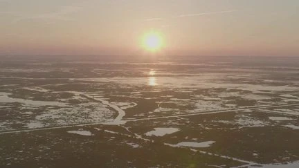 Anguille en persillade, chênes fossilisés… Les richesses du marais de la grande Brière