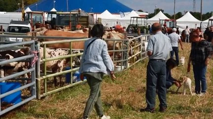 Sarthe : un concert géant dans un village de 74 habitants à l'occasion des comices agricoles