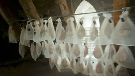 Saint-Flour : des jambons affinés en haut de la cathédrale