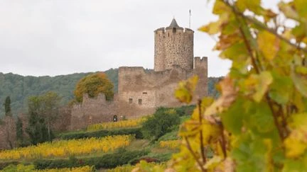 Alsace : sur la piste des vignobles en automne
