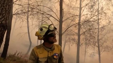 Incendies en Espagne : 