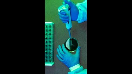 Des ultrasons pour combattre des virus