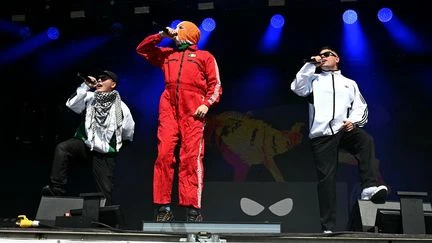 Rock en Seine : la Ville de Saint-Cloud retire 40 000 euros de subvention au festival en raison de la participation du groupe nord-irlandais Kneecap